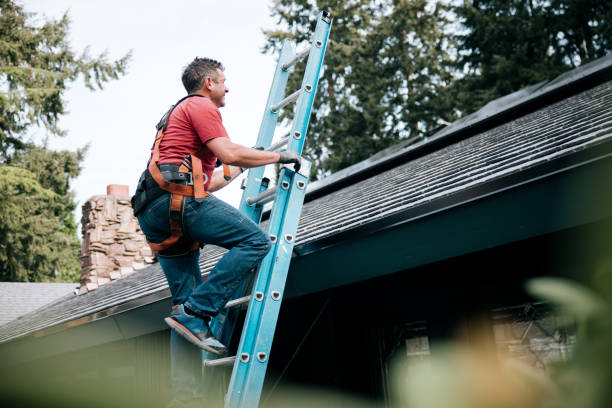 Best Gutter Installation and Repair  in Olean, NY